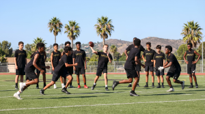 Football 7v7 + Strength (The Complete Bundle)